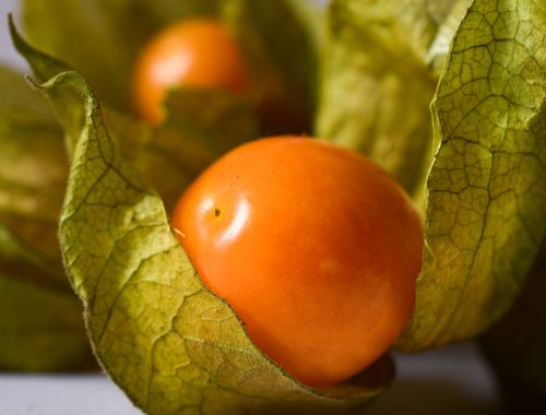 fruto de oro