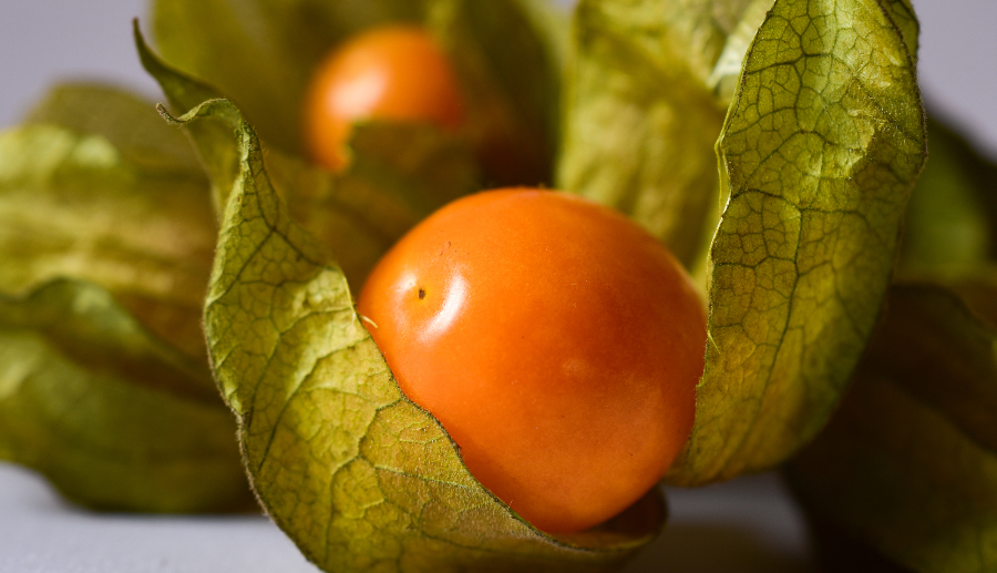 fruto de oro