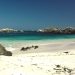 Bahía Inglesa
