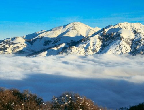 cerro otto