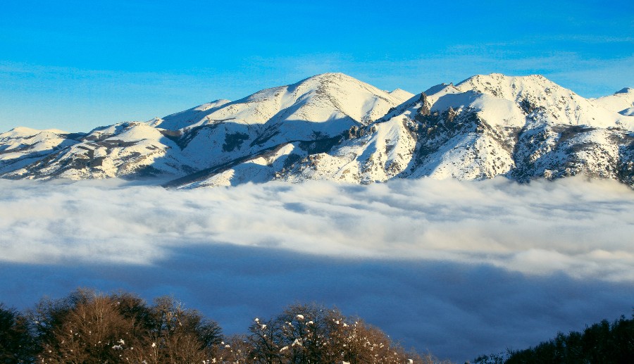 cerro otto