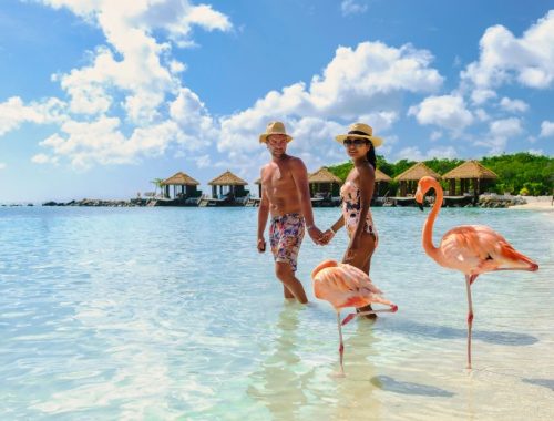 Pareja con flamencos a orillas de la playa en las islas del Caribe