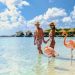 Pareja con flamencos a orillas de la playa en las islas del Caribe