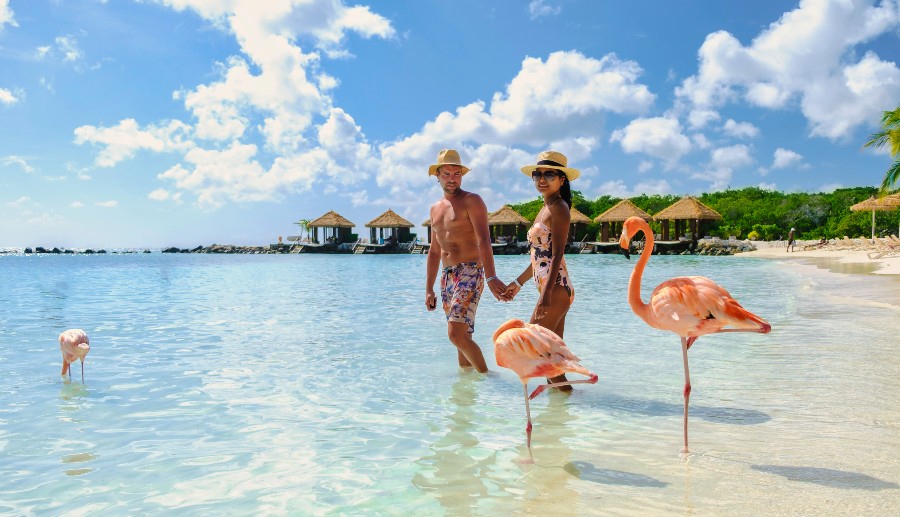 Pareja con flamencos a orillas de la playa en las islas del Caribe