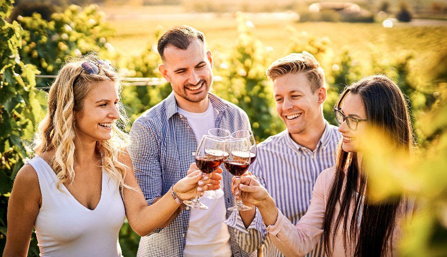 Grupo de amigos brindando en un viñedo