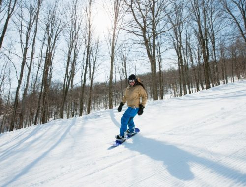 Mujer esquiando en la nieve con varios árboles secos detrás