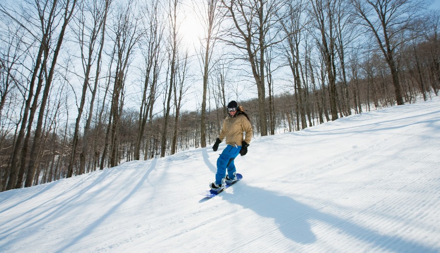 Mujer esquiando en la nieve con varios árboles secos detrás
