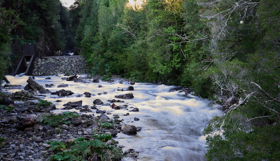 Paisaje del Parque Nacional Alerce Andino