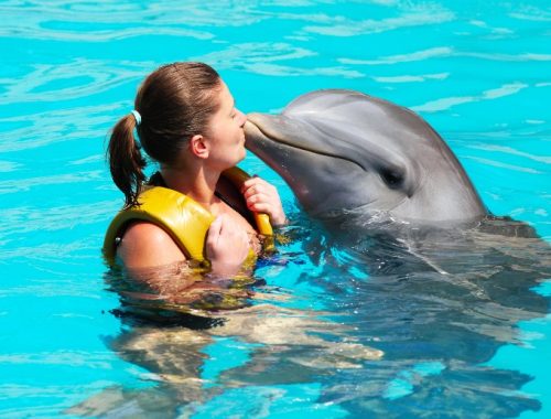 Mujer dentro de las aguas de Punta Cana dando un beso a un delfín