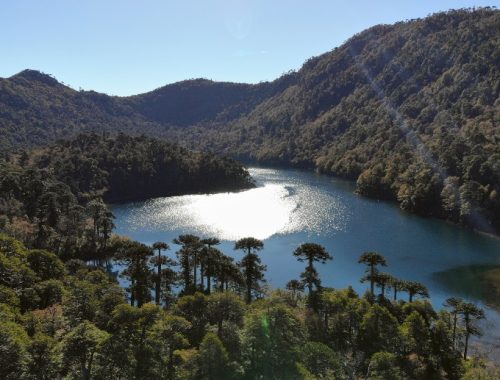 Montañas boscosas con un lago en la Región de La Araucanía