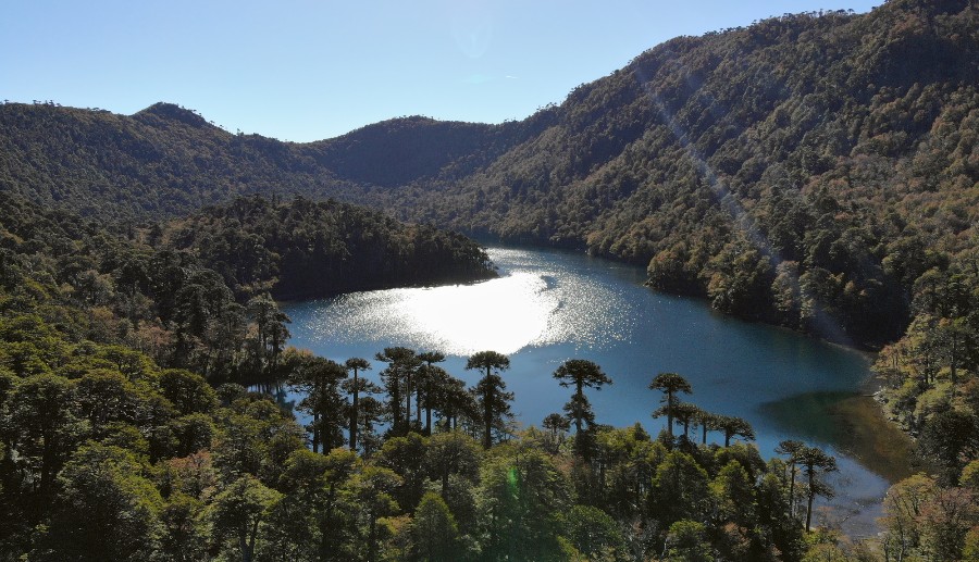 Montañas boscosas con un lago en la Región de La Araucanía