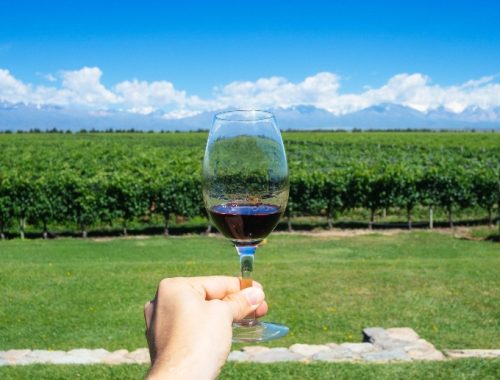 Manos masculinas sosteniendo una copa de vino tinto frente a un viñedo.