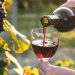 Mujer llenando una copa de vino frente a un viñedo