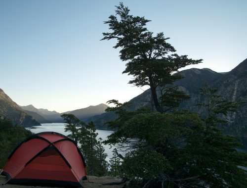 Tienda de campaña en un campamento en el bosque.